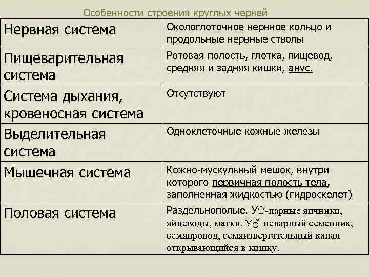 Особенности строения круглых червей Окологлоточное нервное кольцо и Нервная система продольные нервные стволы Пищеварительная