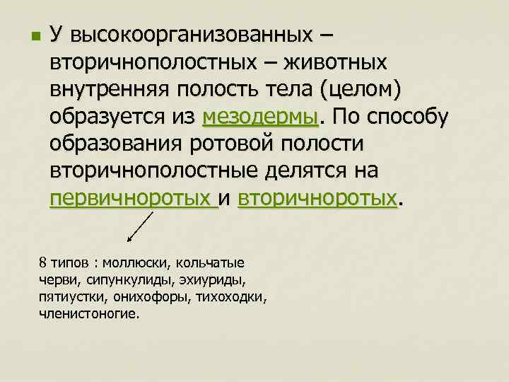 n У высокоорганизованных – вторичнополостных – животных внутренняя полость тела (целом) образуется из мезодермы.