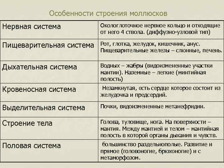 Особенности строения моллюсков Нервная система Окологлоточное нервное кольцо и отходящие от него 4 ствола.