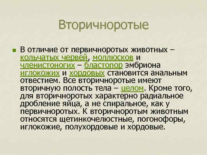 Вторичноротые n В отличие от первичноротых животных – кольчатых червей, моллюсков и членистоногих –