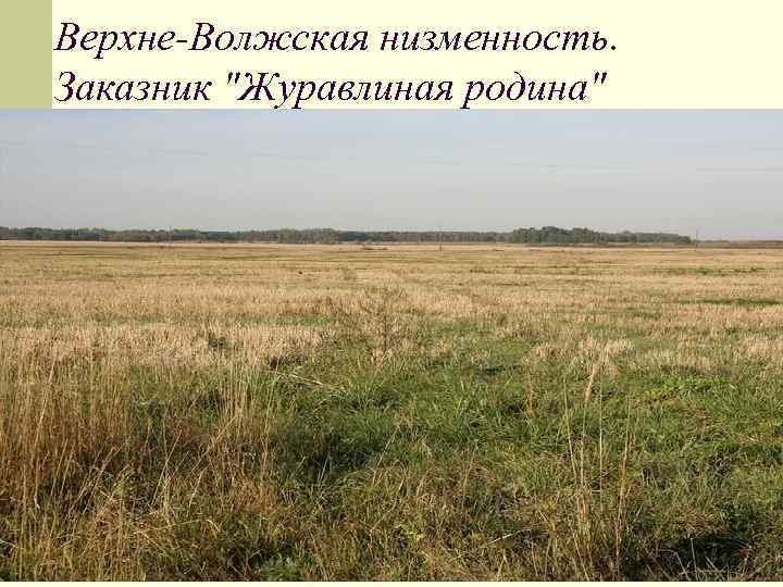 Верхне-Волжская низменность. Заказник 