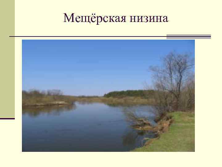 Мещёрская низина 