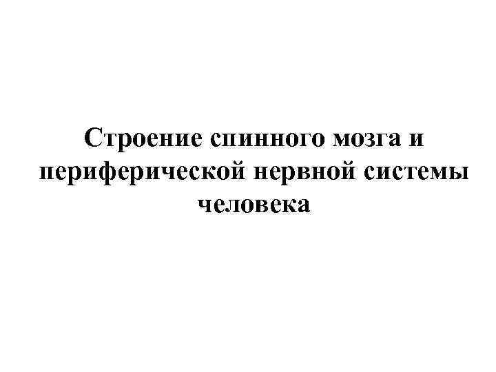 Строение спинного мозга и периферической нервной системы человека 