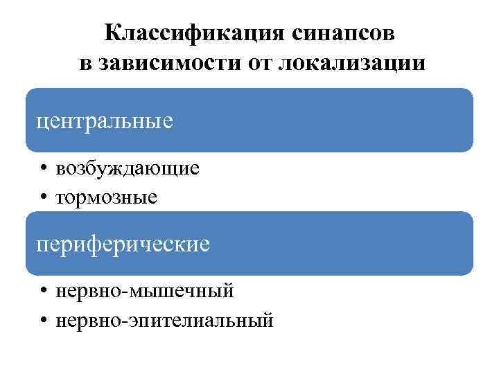 Классификация синапсов в зависимости от локализации центральные • возбуждающие • тормозные периферические • нервно-мышечный