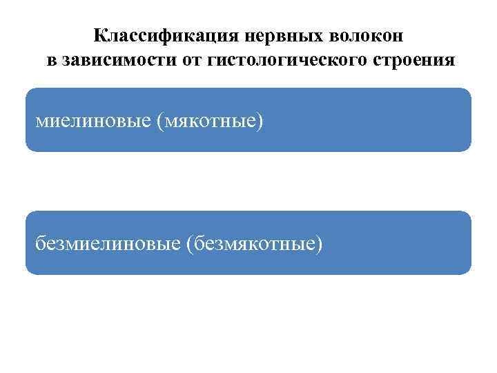 Классификация нервных волокон в зависимости от гистологического строения миелиновые (мякотные) безмиелиновые (безмякотные) 