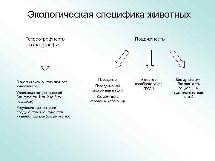 Экологическая специфика животных Гетеротрофность и фаготрофия В экосистемах выполняют роль консументов Удлинение пищевых цепей