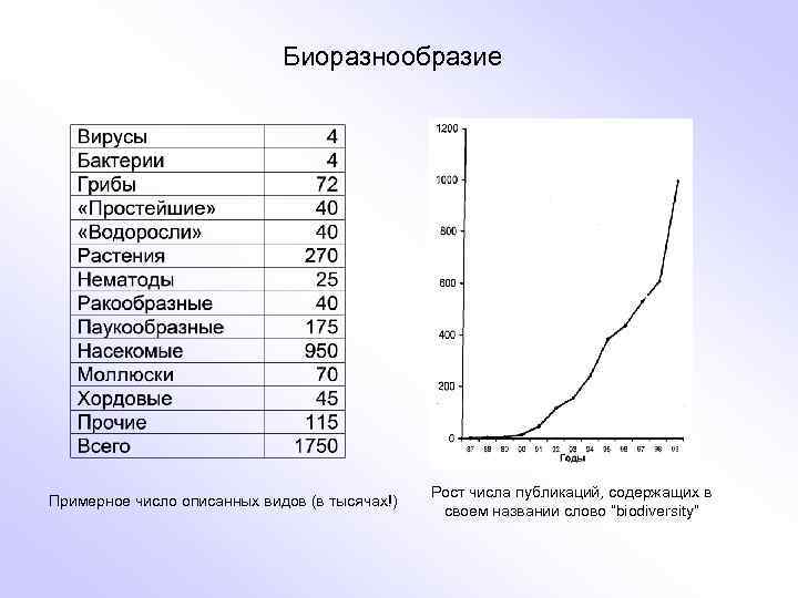Биоразнообразие Примерное число описанных видов (в тысячах!) Рост числа публикаций, содержащих в своем названии
