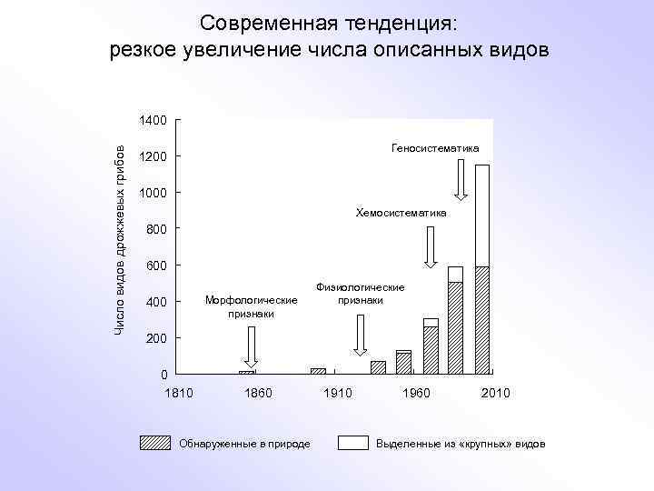 Современная тенденция: резкое увеличение числа описанных видов Число видов дрожжевых грибов 1400 Геносистематика 1200