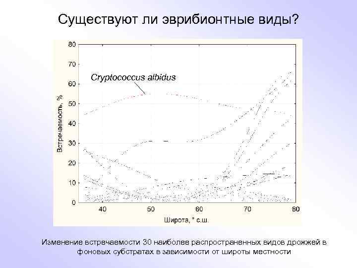 Существуют ли эврибионтные виды? Cryptococcus albidus Изменение встречаемости 30 наиболее распространенных видов дрожжей в