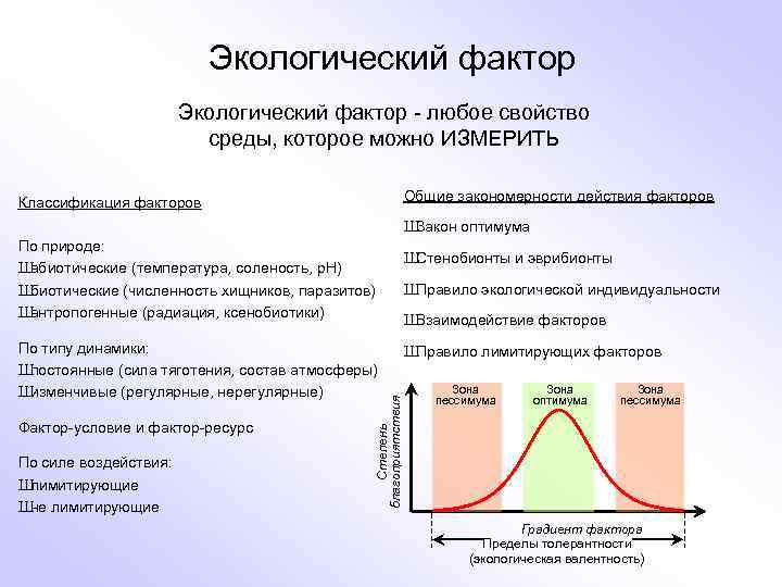 Экологический фактор - любое свойство среды, которое можно ИЗМЕРИТЬ Общие закономерности действия факторов Классификация