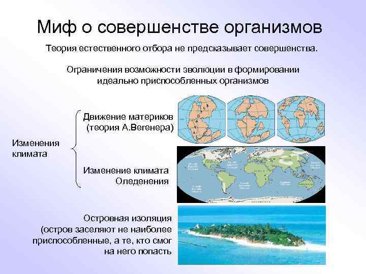 Миф о совершенстве организмов Теория естественного отбора не предсказывает совершенства. Ограничения возможности эволюции в