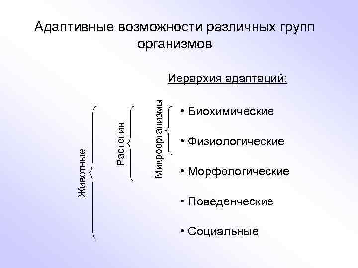 Адаптивные возможности. Адаптивные возможности организма. Биохимическая адаптация микроорганизмов. Адаптивные способности. Адаптивные типы морфологические физиологические биохимические.