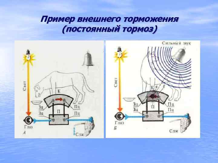 Примеры внешней