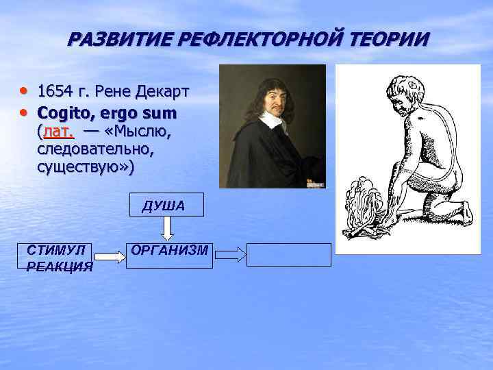 Рефлекторная теория поведения презентация 8 класс