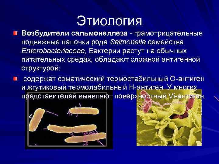 Сальмонеллез презентация кратко