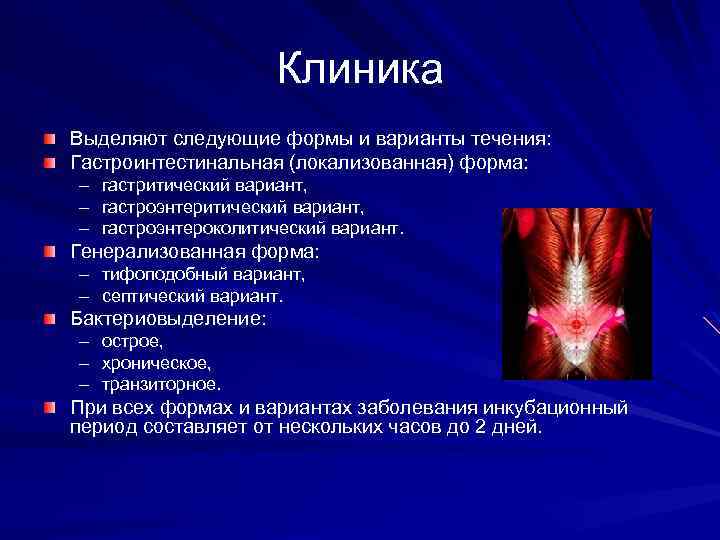 Клиника Выделяют следующие формы и варианты течения: Гастроинтестинальная (локализованная) форма: – гастритический вариант, –