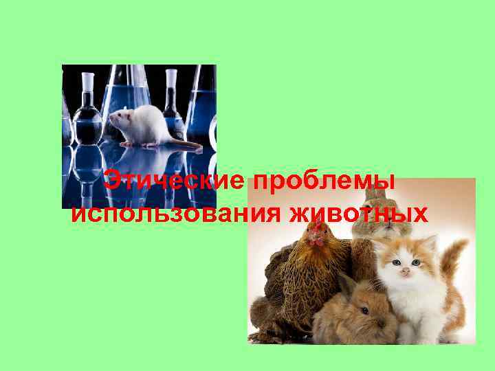 Этические проблемы использования животных 