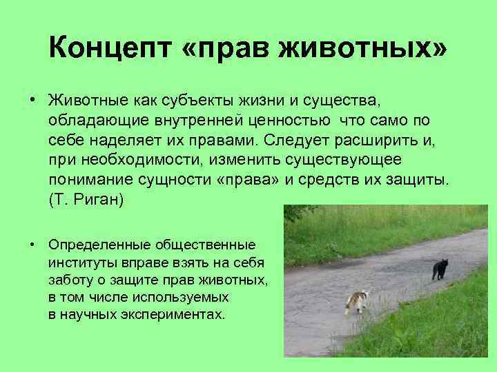 Концепт «прав животных» • Животные как субъекты жизни и существа, обладающие внутренней ценностью что