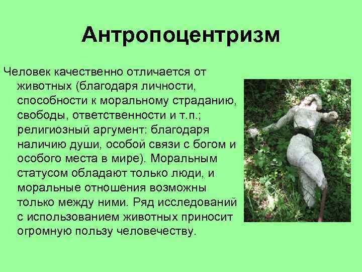 Антропоцентризм Человек качественно отличается от животных (благодаря личности, способности к моральному страданию, свободы, ответственности