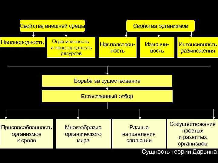 Свойства внешней среды Неоднородность Ограниченность и неоднородность ресурсов Свойства организмов Наследственность Изменчивость Интенсивность размножения