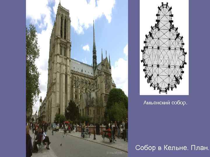Амьенский собор. Собор в Кельне. План. 