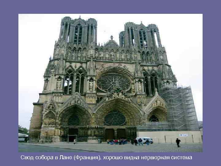 Свод собора в Лане (Франция), хорошо видна нервюрная система 