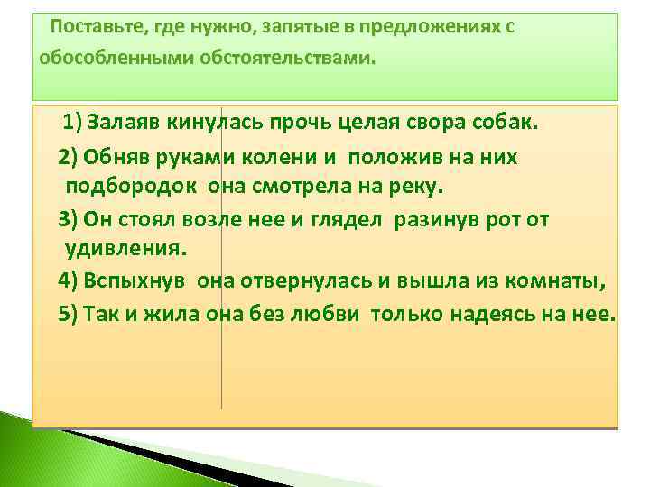 Поставьте, где нужно, запятые в предложениях с обособленными обстоятельствами. 1) Залаяв кинулась прочь целая