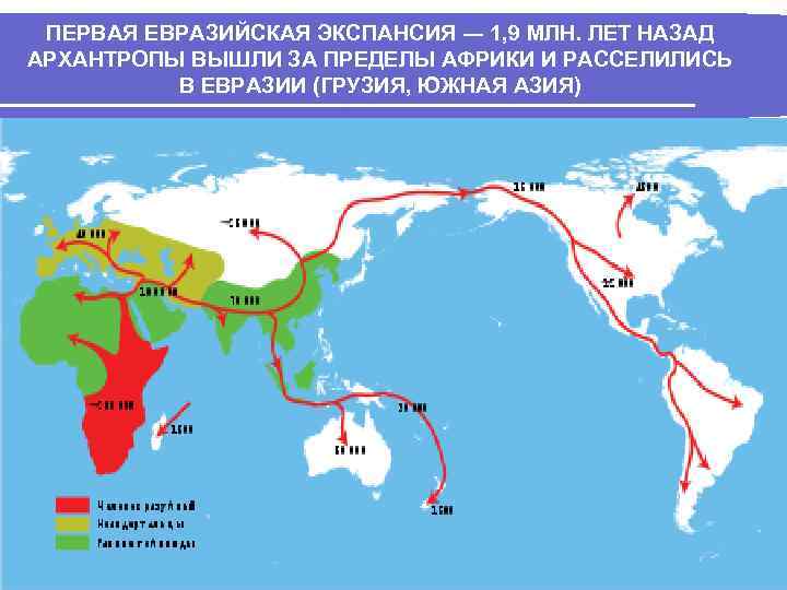 ПЕРВАЯ ЕВРАЗИЙСКАЯ ЭКСПАНСИЯ ― 1, 9 МЛН. ЛЕТ НАЗАД АРХАНТРОПЫ ВЫШЛИ ЗА ПРЕДЕЛЫ АФРИКИ