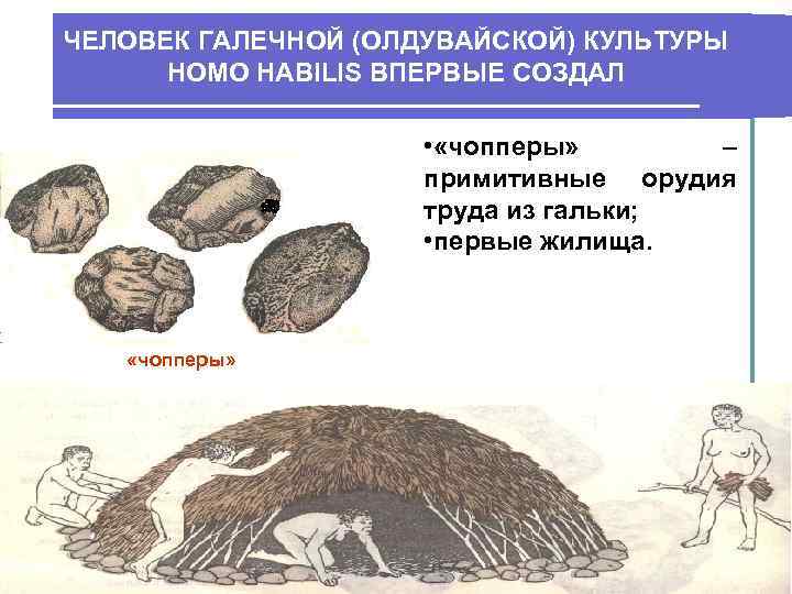 ЧЕЛОВЕК ГАЛЕЧНОЙ (ОЛДУВАЙСКОЙ) КУЛЬТУРЫ HOMO HABILIS ВПЕРВЫЕ СОЗДАЛ • «чопперы» – примитивные орудия труда