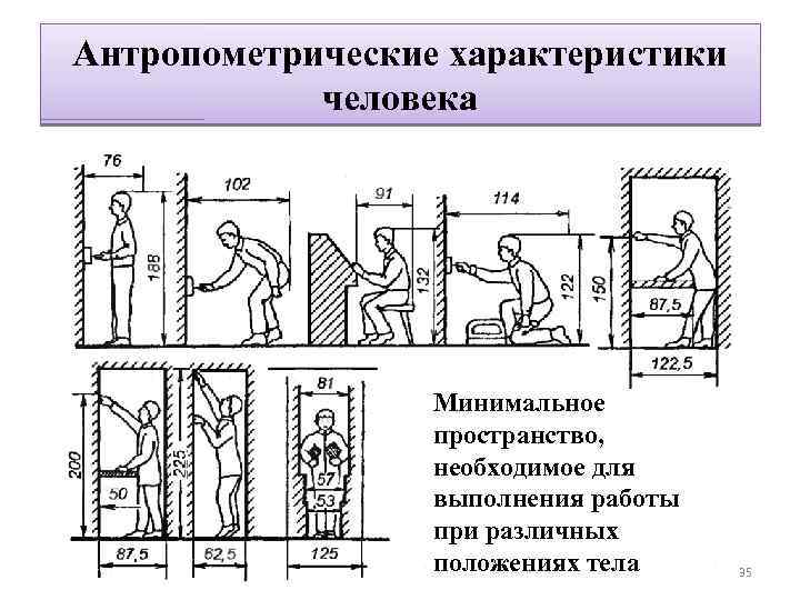 Необходимое пространство. Антропометрические характеристики человека БЖД. Динамические антропометрические характеристики это. Антропоморфические параметры человека средневековья. Статические антропометрические характеристики это.