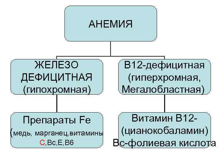 АНЕМИЯ ЖЕЛЕЗО ДЕФИЦИТНАЯ (гипохромная) В 12 -дефицитная (гиперхромная, Мегалобластная) Препараты Fe Витамин В 12(цианокобаламин)