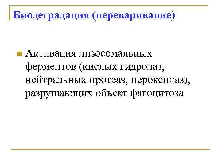 Биодеградация (переваривание) n Активация лизосомальных ферментов (кислых гидролаз, нейтральных протеаз, пероксидаз), разрушающих объект фагоцитоза