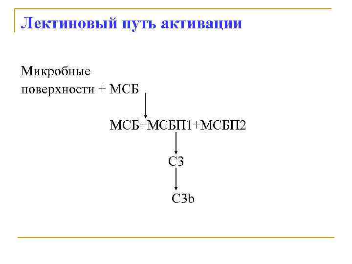 Лектиновый путь активации Микробные поверхности + МСБ+МСБП 1+МСБП 2 С 3 b 
