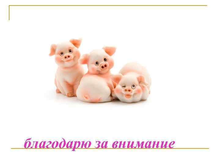 благодарю за внимание 