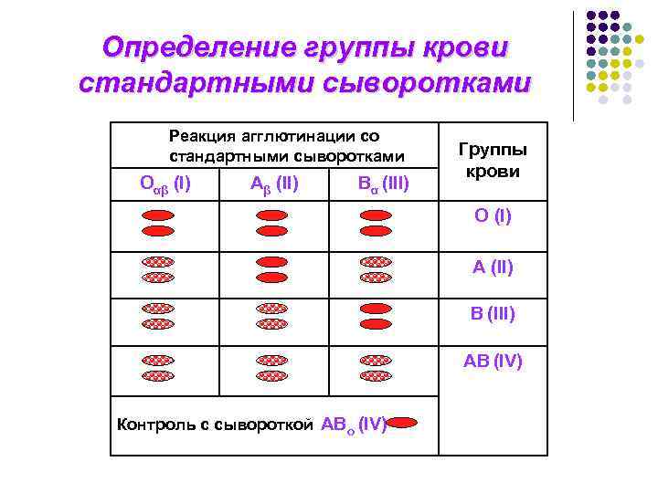 Определение группы крови стандартными сыворотками Реакция агглютинации со стандартными сыворотками Oαβ (I) Aβ (II)