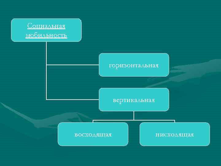 Социальная мобильность горизонтальная вертикальная восходящая нисходящая 