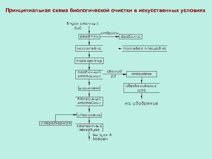 Принципиальная схема биологической очистки в искусственных условиях 