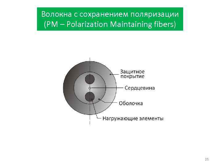 Волокна с сохранением поляризации (PM – Polarization Maintaining fibers) 25 