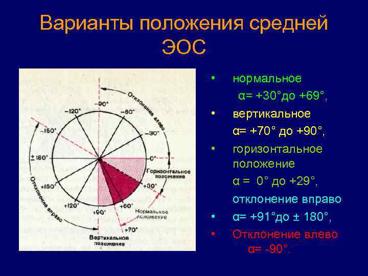 Варианты положения средней ЭОС • нормальное α= +30°до +69°, • вертикальное α= +70° до