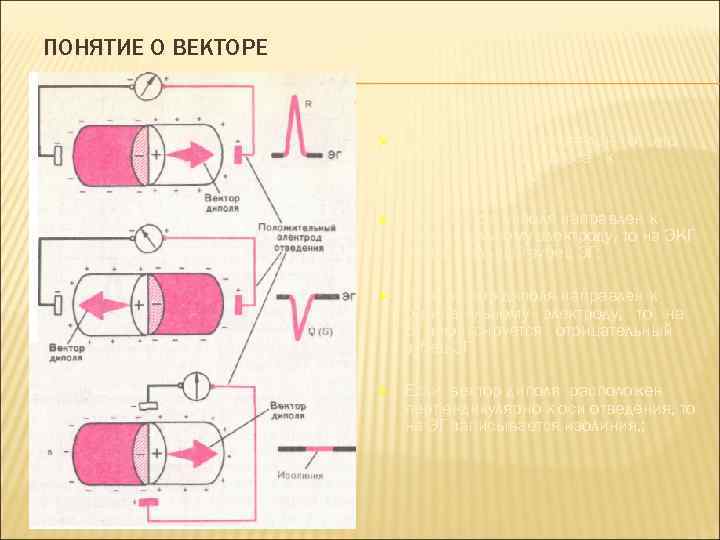 ПОНЯТИЕ О ВЕКТОРЕ Ø Вектор диполя направлен от его отрицательного полюса к положительному; Ø