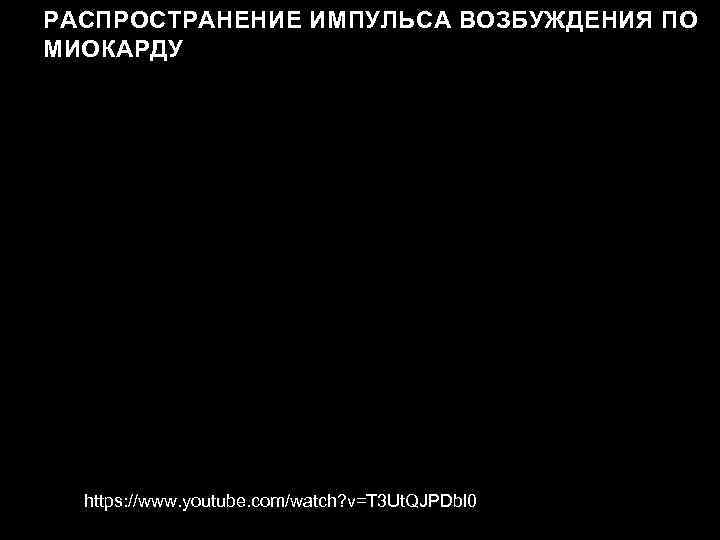 РАСПРОСТРАНЕНИЕ ИМПУЛЬСА ВОЗБУЖДЕНИЯ ПО МИОКАРДУ https: //www. youtube. com/watch? v=T 3 Ut. QJPDbl 0