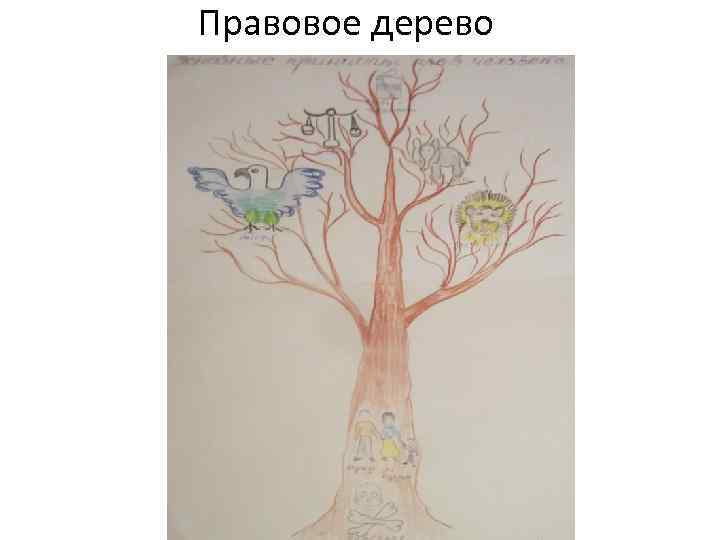 Правовое дерево 