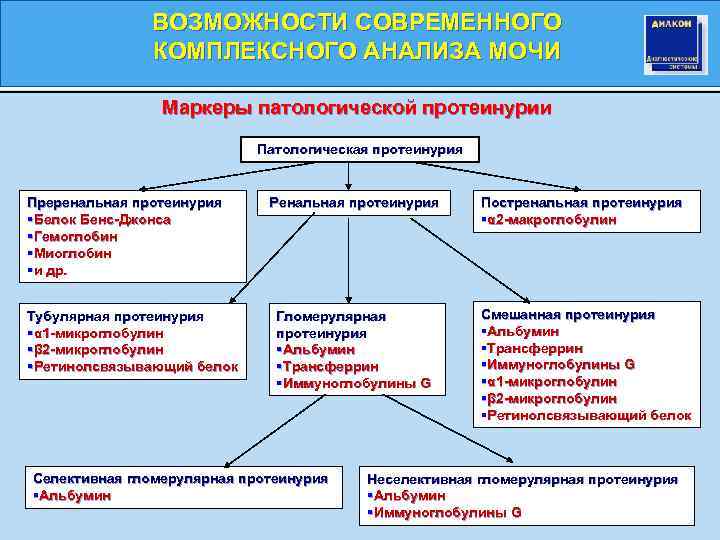 ВОЗМОЖНОСТИ СОВРЕМЕННОГО КОМПЛЕКСНОГО АНАЛИЗА МОЧИ Маркеры патологической протеинурии Патологическая протеинурия Преренальная протеинурия §Белок Бенс-Джонса