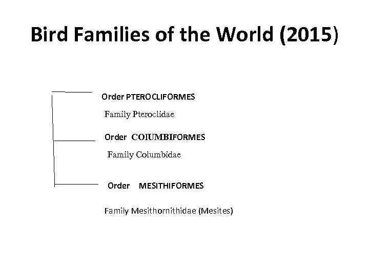 Bird Families of the World (2015) Order PTEROCLIFORMES Family Pteroclidae Order COl. UMBIFORMES Family