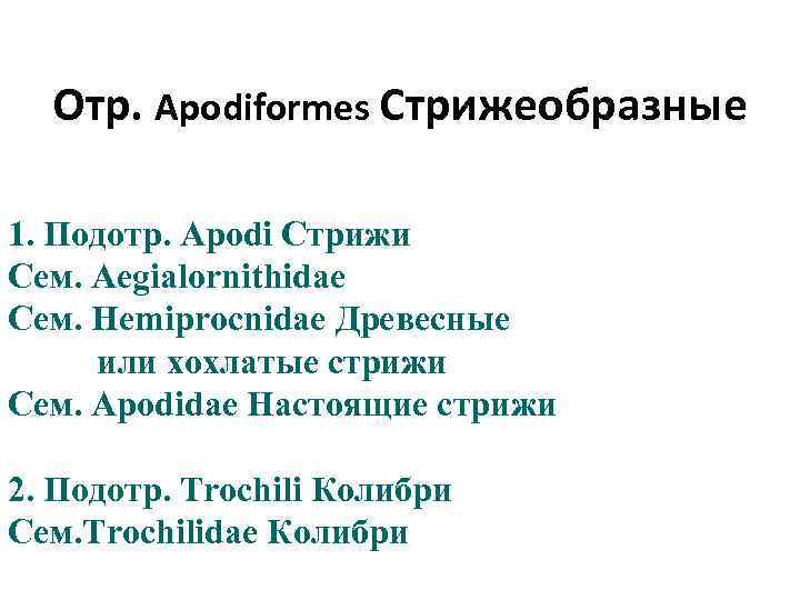 Отр. Apodiformes Стрижеобразные 1. Подотр. Apodi Стрижи Сем. Aegialornithidae Сем. Hemiprocnidae Древесные или хохлатые