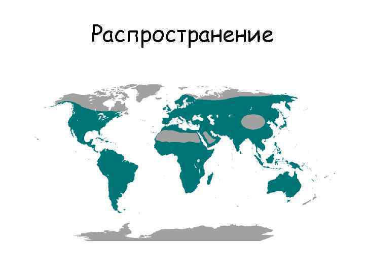 Распространение 