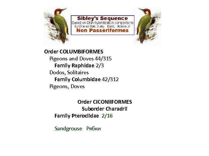 Order COLUMBIFORMES Pigeons and Doves 44/315 Family Raphidae 2/3 Dodos, Solitaires Family Columbidae 42/312