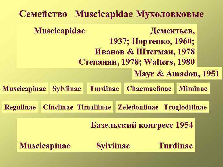 Семейство Muscicapidae Мухоловковые Muscicapidae Дементьев, 1937; Портенко, 1960; Иванов & Штегман, 1978 Степанян, 1978;