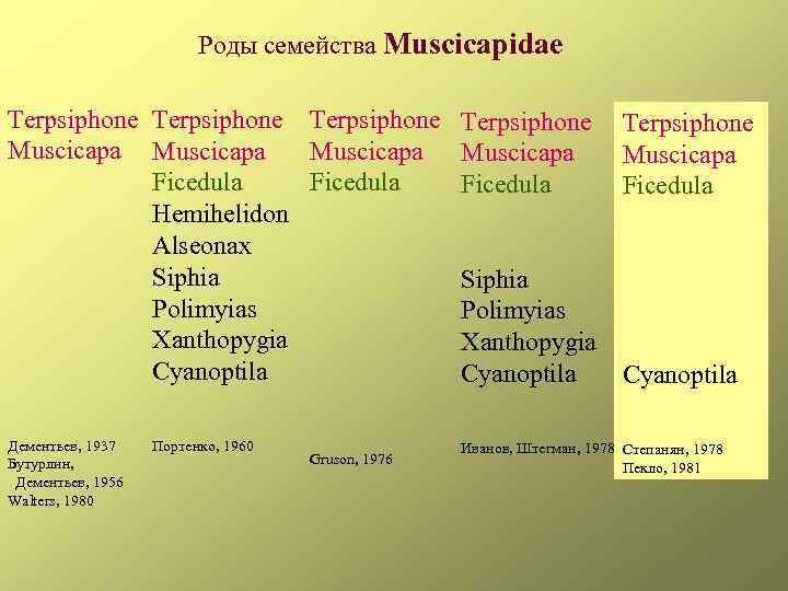 Роды семейства Muscicapidae Terpsiphone Muscicapa Ficedula Hemihelidon Alseonax Siphia Polimyias Xanthopygia Cyanoptila Дементьев, 1937