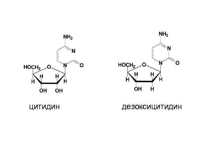 цитидин дезоксицитидин 